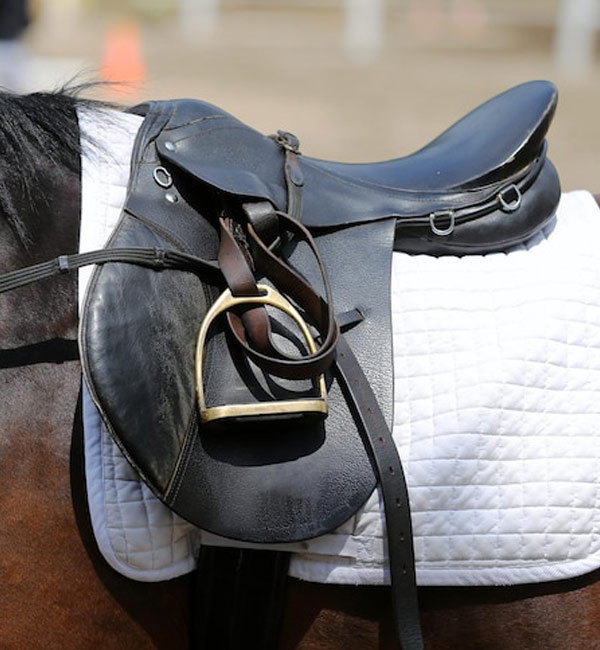 High-quality English Saddlery for Horses